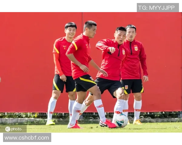 深圳排球队的默契配合揭秘与训练背后的故事