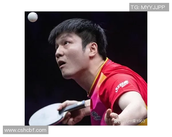 成都乒乓球队在世锦赛中的个人能力表现分析与点评
