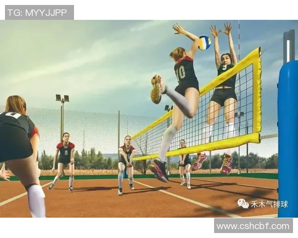 武汉排球队的速度之谜：揭秘排球巨献背后的训练与激情