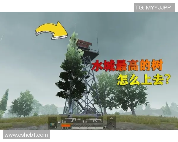 揭秘和平精英成功背后的故事与杨秀英的独特见解 揭秘和平精英成功背后的故事与杨秀英的独特见解